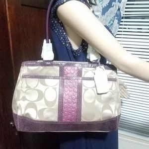 Coach Park Signature Stripe Carryall